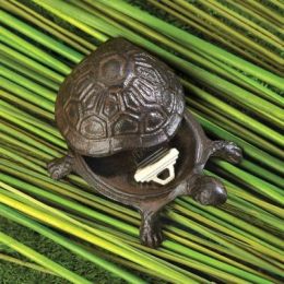 Turtle Key Hider